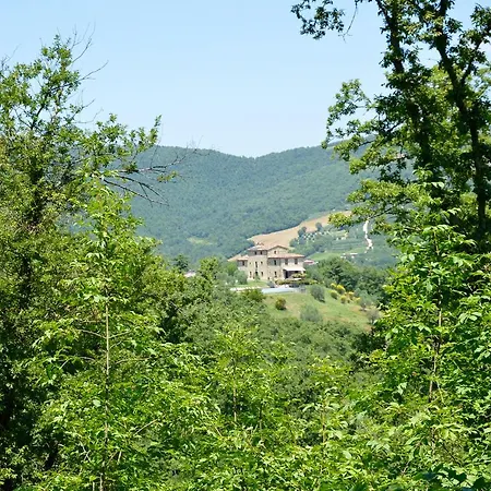 Badia * Città di Castello